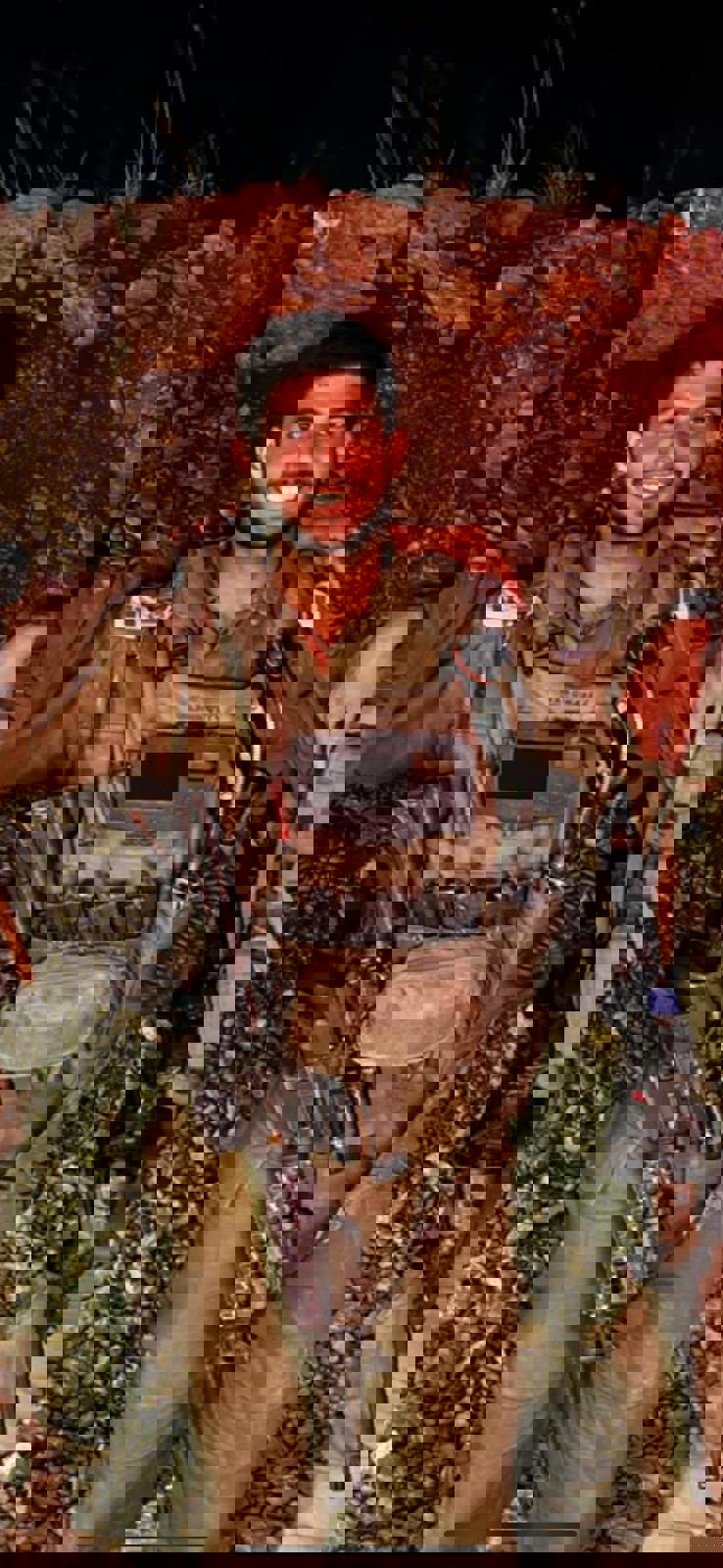 נועם מדמוני זל